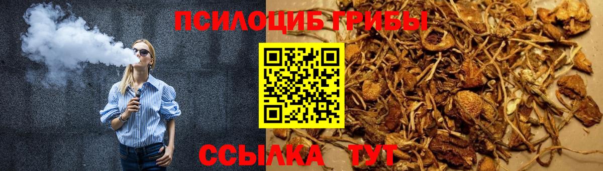 Псилоцибиновые грибы GOLDEN TEACHER Мыски
